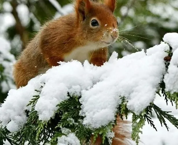 Mara * Bad Lauterberg