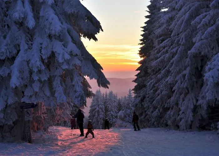 Daire Mara Bad Lauterberg